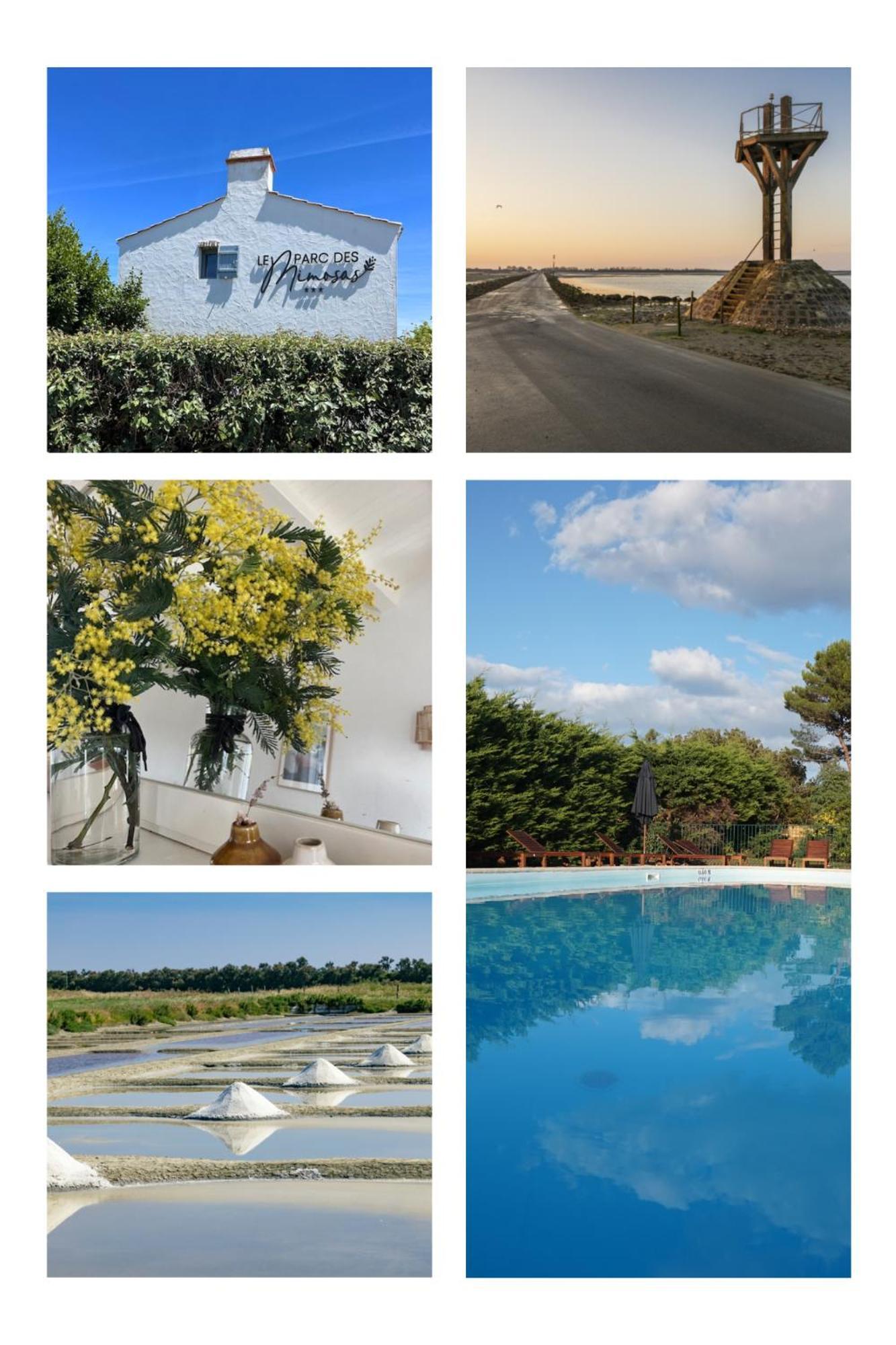 Le Parc Des Mimosas Villa Noirmoutier-en-l'Ile Exterior foto